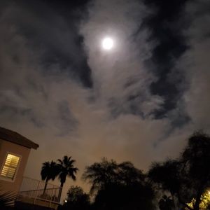 Meet your Posher, Tarra